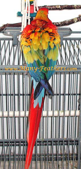 Just Look at the BEAUTIFUL back!